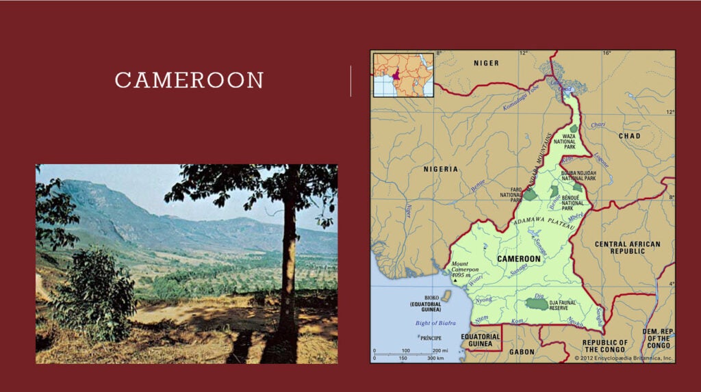 Cameroon site